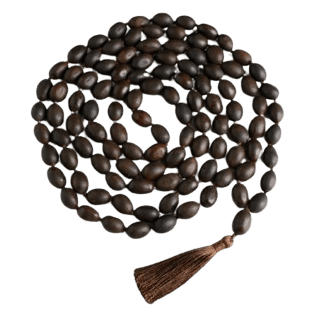 Lotus Seed Mala Material Benefits of This Bead