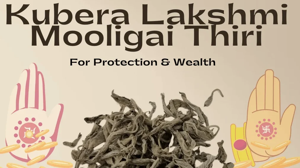 Kubera Laxmi Mooligai Thiri | Steps to Use
