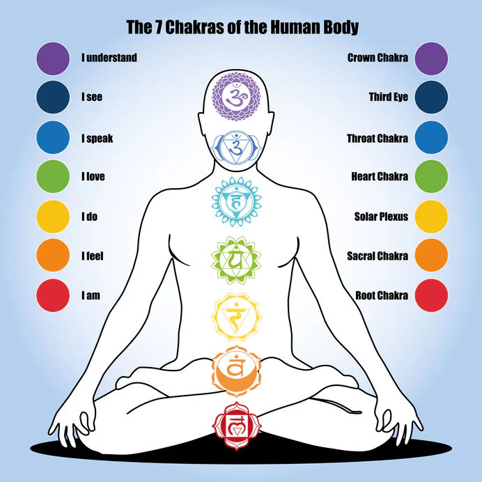What are the Seven Chakras?