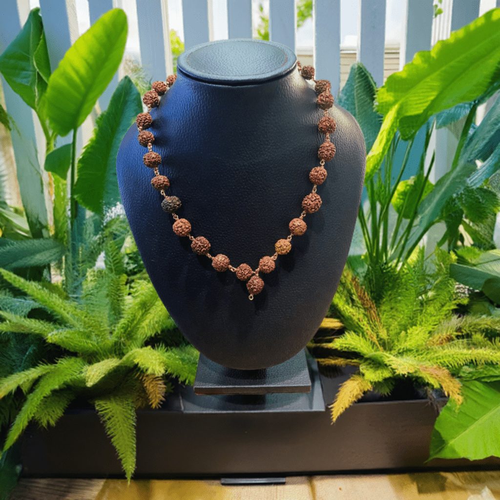 Rudraksha Mala 54 Beads