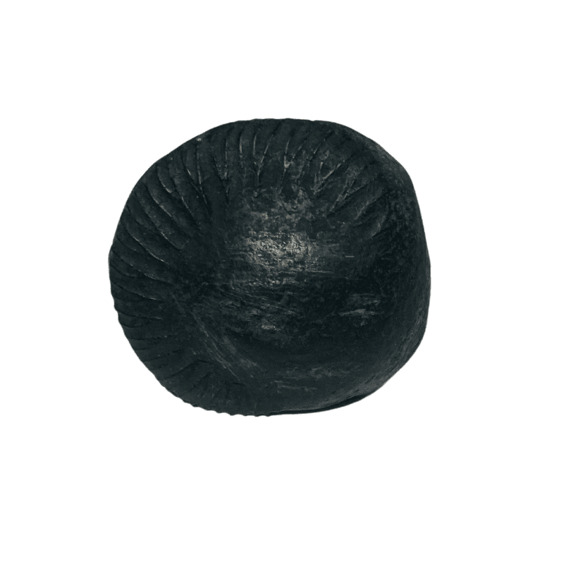 Surya Shaligram