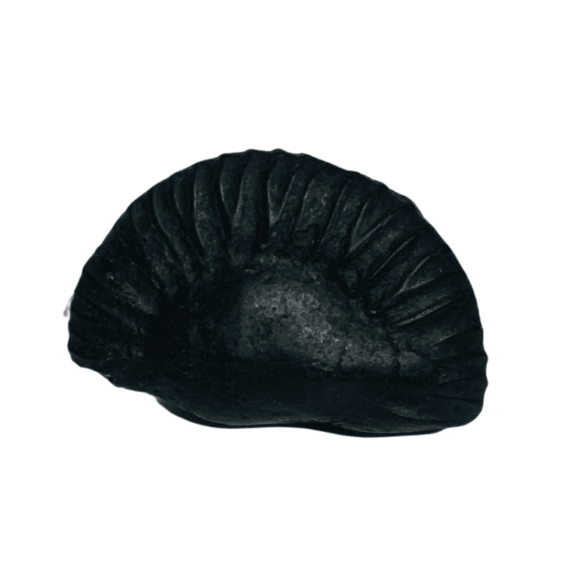 Matsya Shaligram