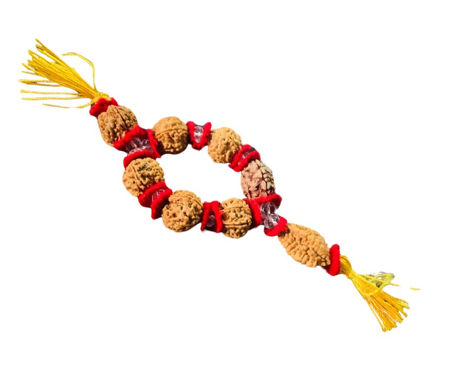 BRAHMAND RUDRAKSHA Main Photo Thumbnail